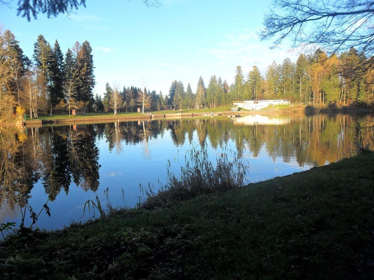 Landhof Zitzler Apartment Opfenbach Bagian luar foto
